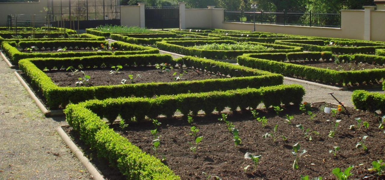 Hotel Domaine De L'Orangerie Bonnat Εξωτερικό φωτογραφία
